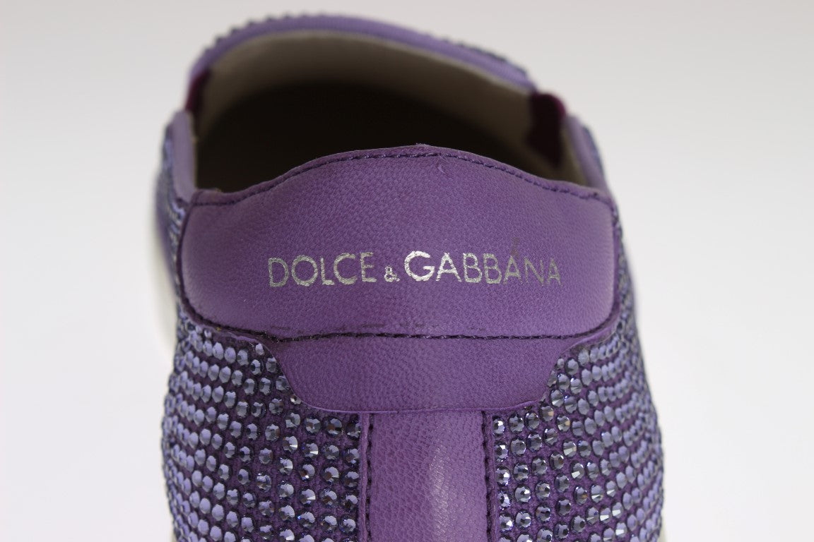 Dolce & Gabbana Lila Strass Canvas Sneakers Med Logotyp