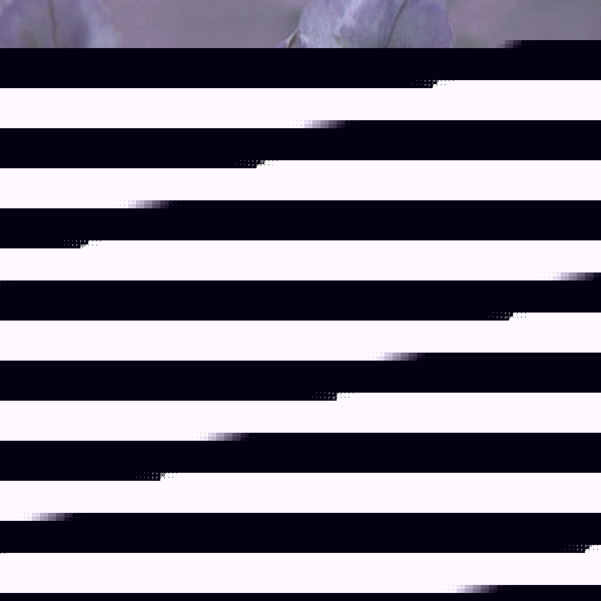 V3H6FE93F360CC17D9D2443F1F8713E4E6AR6240511P3