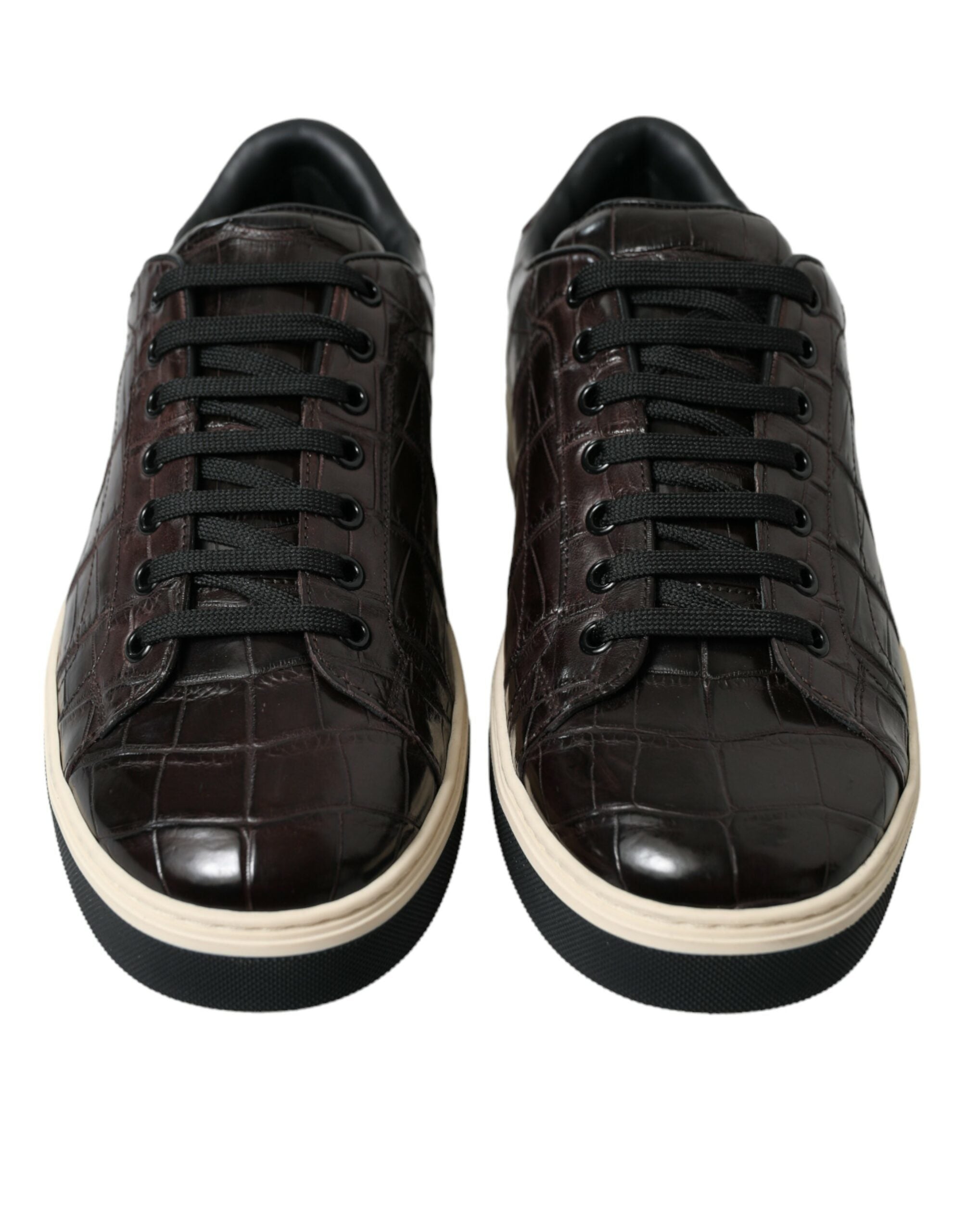 Dolce & Gabbana Bruna Krokodil Exotiska Läder Herr Casual Sneakers Skor
