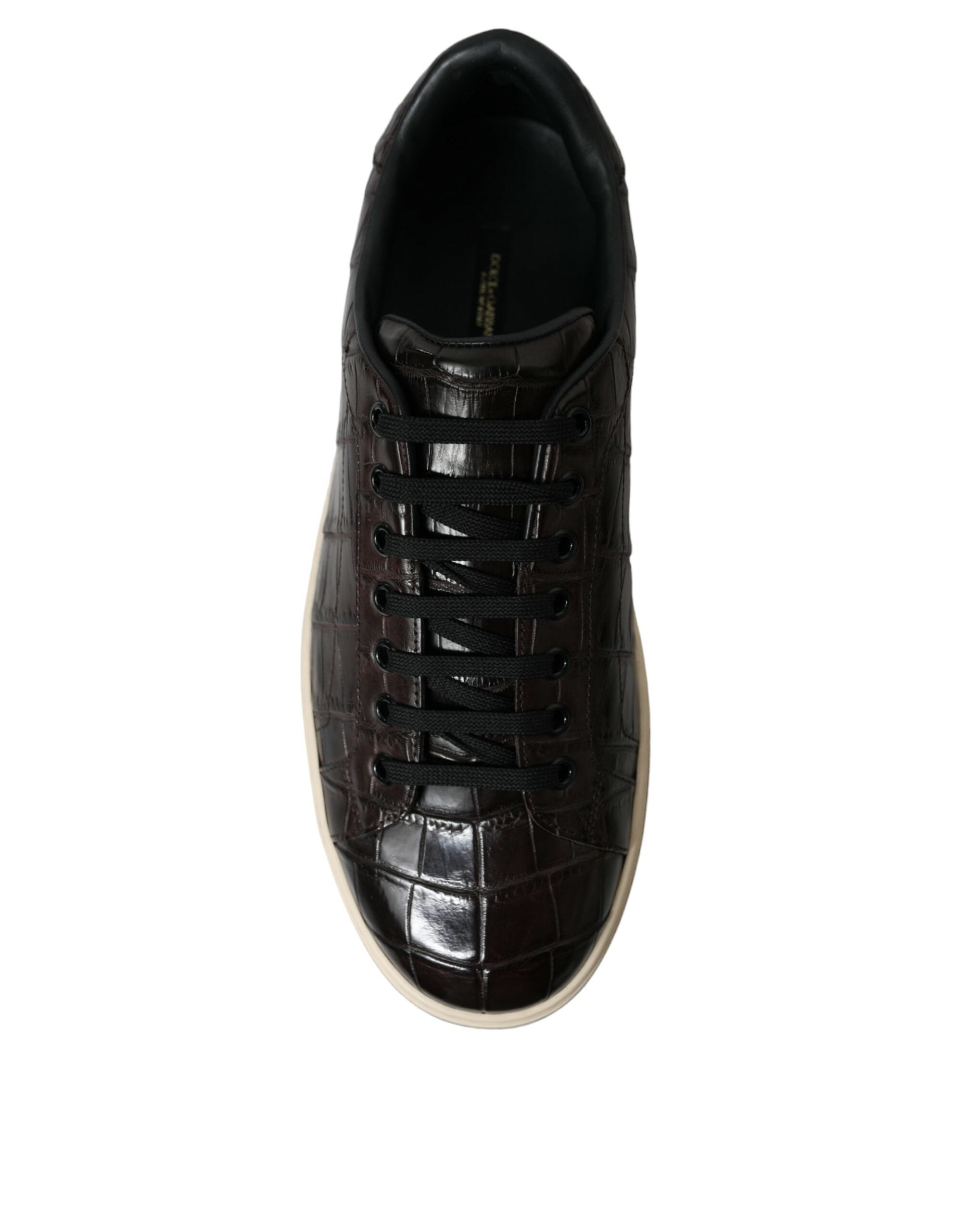 Dolce & Gabbana Bruna Krokodil Exotiska Läder Herr Casual Sneakers Skor