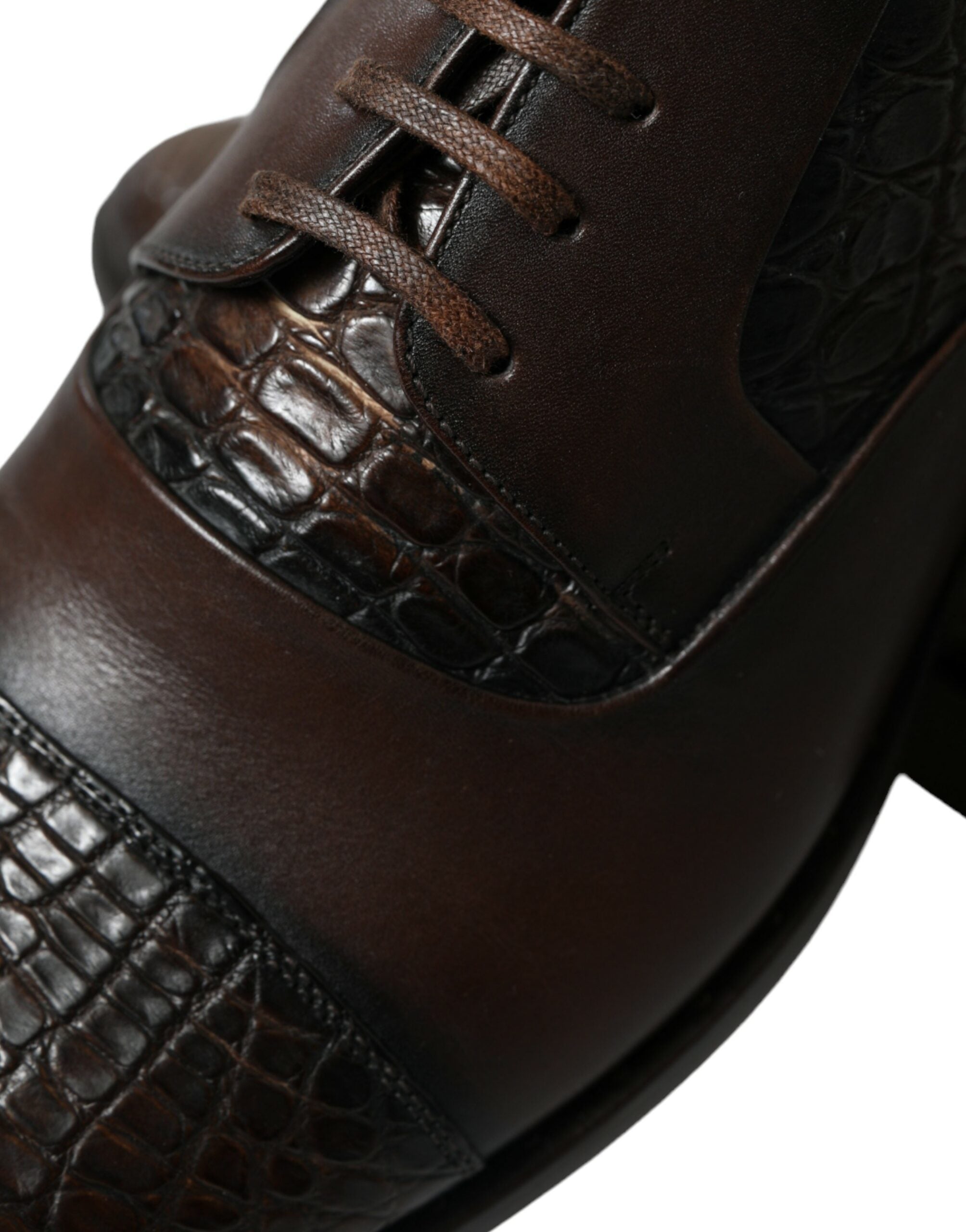 Dolce & Gabbana Bruna Exotiska Läderskor Med Snörning I Oxford-Läder