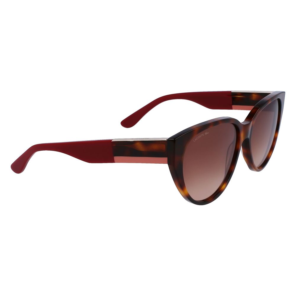 Lacoste bruna acetatsolglasögon