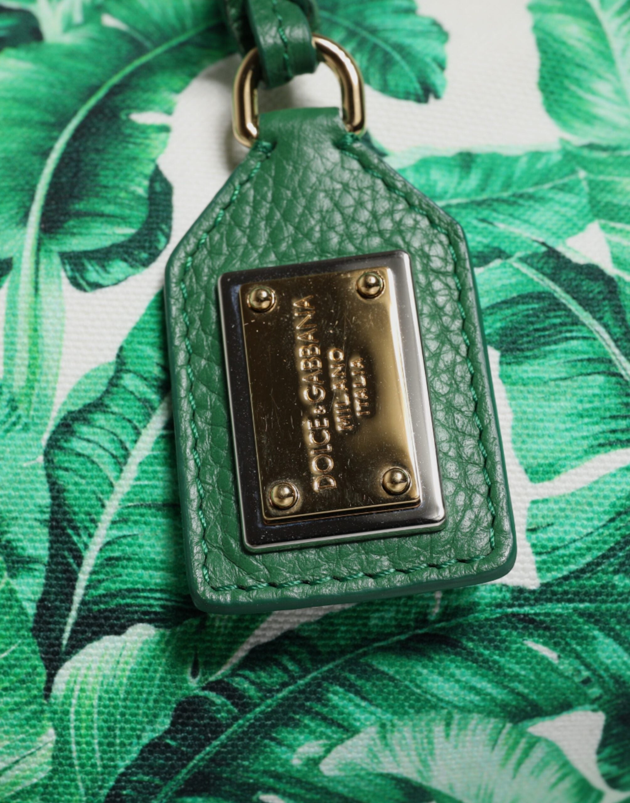 Dolce & Gabbana Grön Canvas Botanisk Trädgård Dam Toteväska