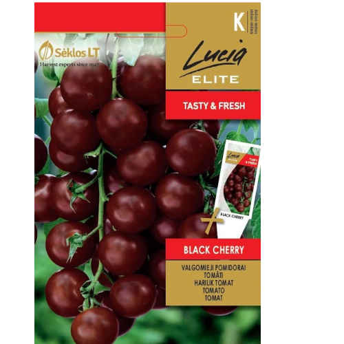 Tomat - Black Cherry