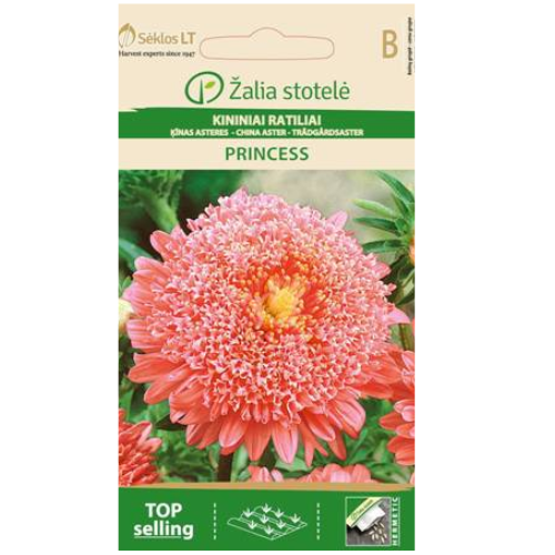 Aster - Prinsessa