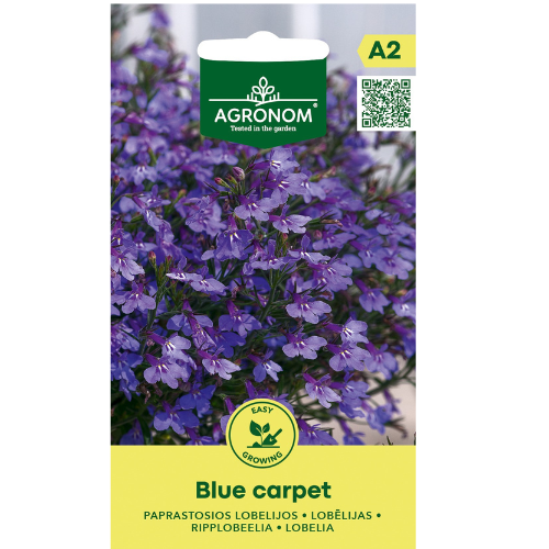HängLobelia - Blue Carpet