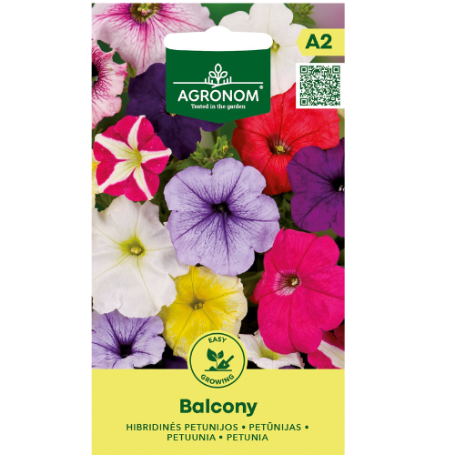 Petunia Balcony