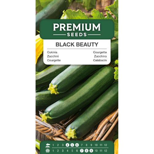 Zucchini - Svart skönhet