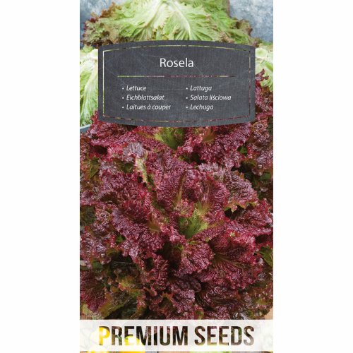 Plocksallat - Rosela