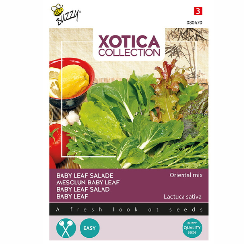 Sallat Baby Leaf – Oriental Mix