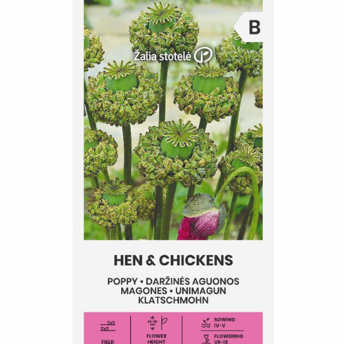 Vallmo - Hen &Chickens