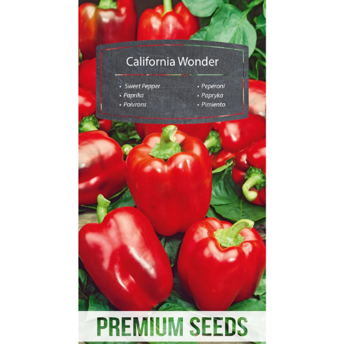 Paprika - California Wonder -80 frön