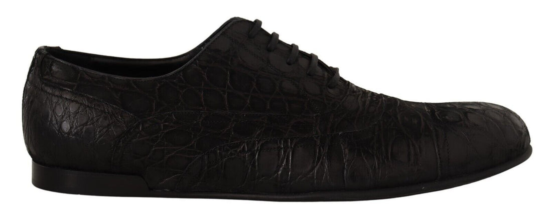 Dolce &amp;amp; Gabbana Svarta Caiman Läder Herr Oxford Skor