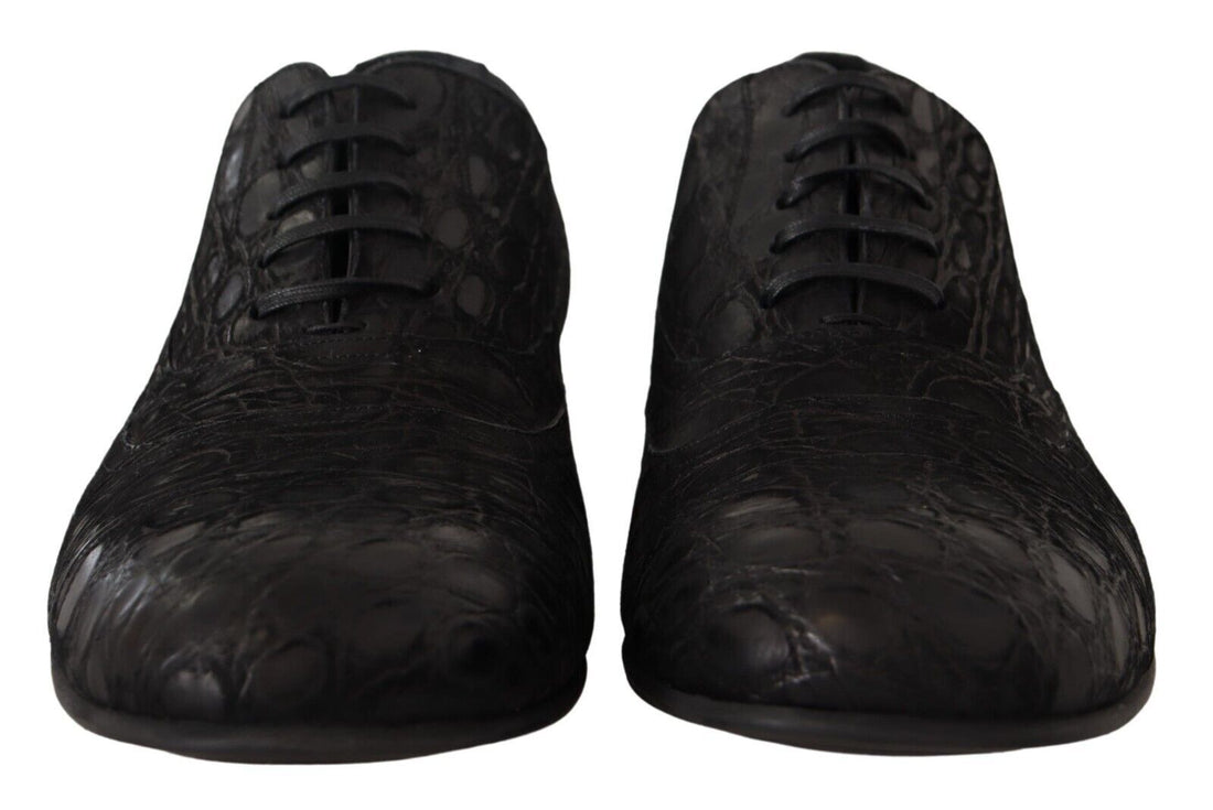 Dolce &amp;amp; Gabbana Svarta Caiman Läder Herr Oxford Skor