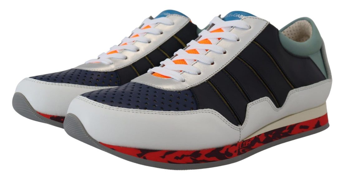 Dolce &amp; Gabbana Multicolor Leather Sport Low Top Sneakers
