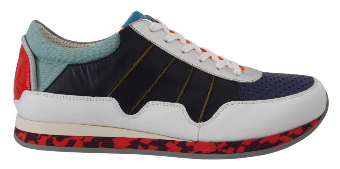 Dolce &amp; Gabbana Multicolor Leather Sport Low Top Sneakers