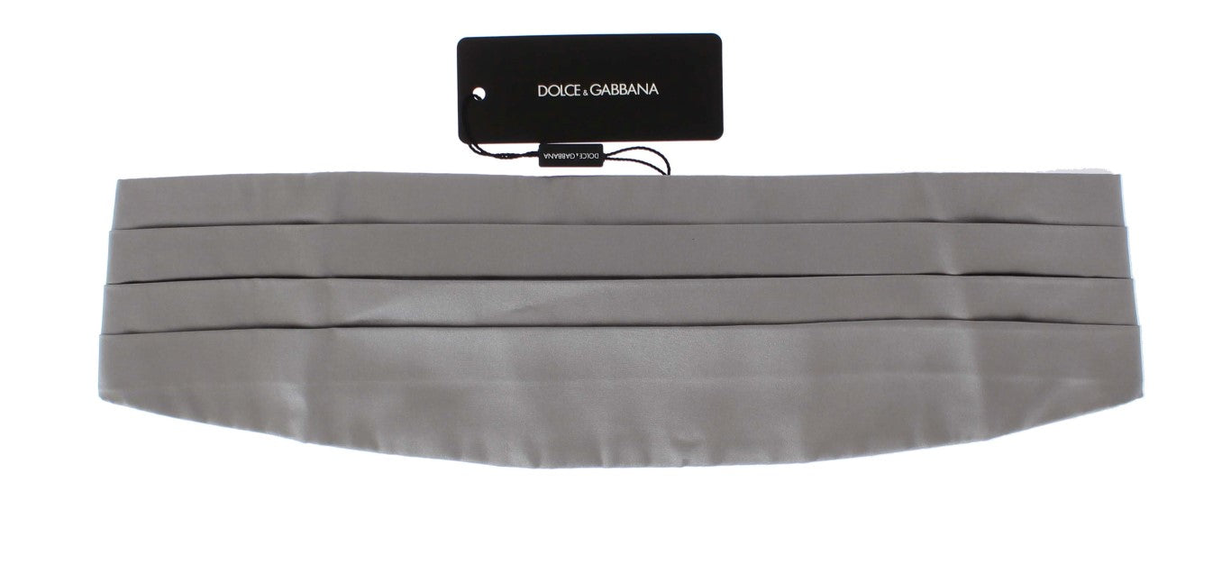 Dolce &amp;amp; Gabbana Silver Brett Bälte Siden Gördel