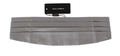 Dolce &amp;amp; Gabbana Silver Brett Bälte Siden Gördel