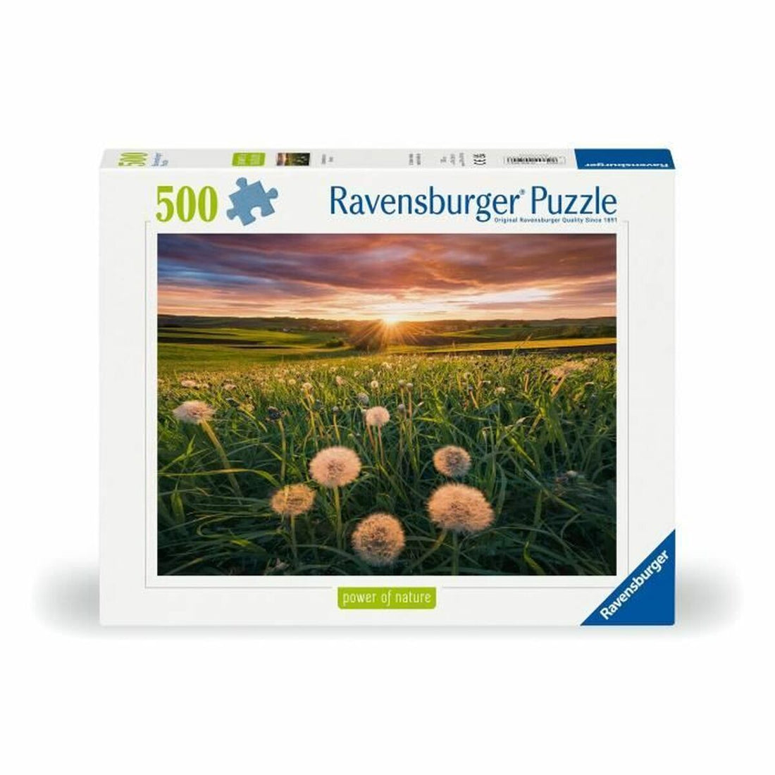 Pussel och hjärngrupper