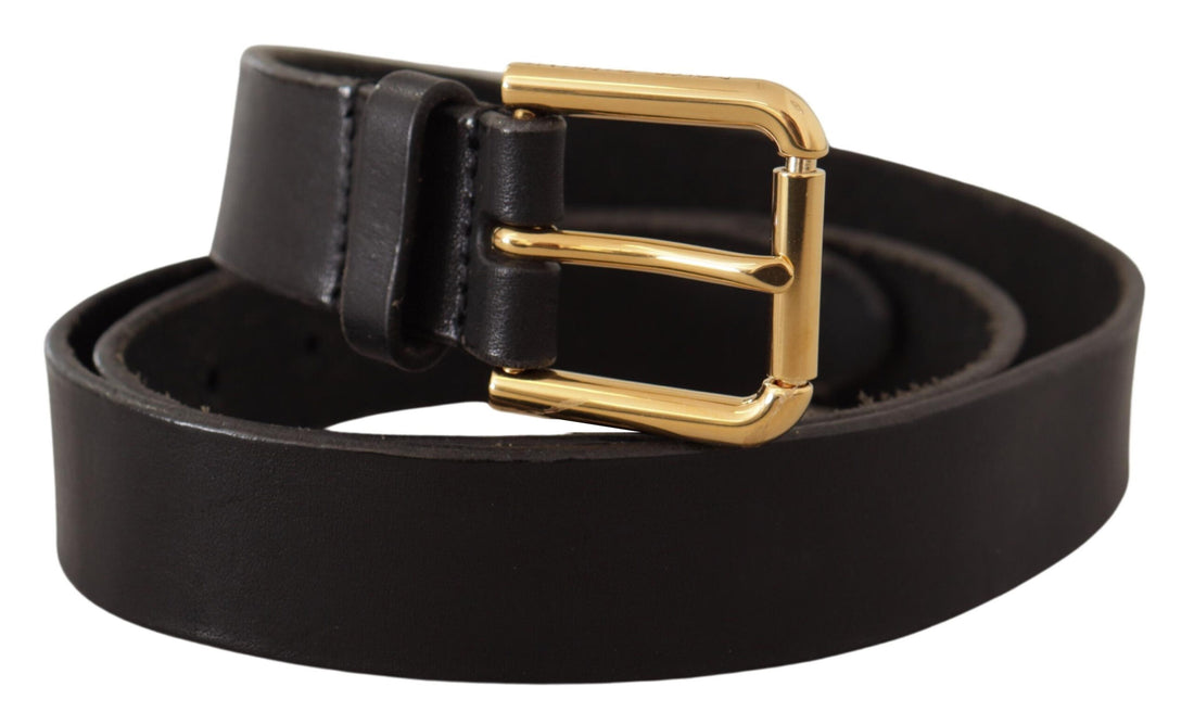 Dolce &amp; Gabbana Brown Classic Leather Gold Metal Buckle Belt