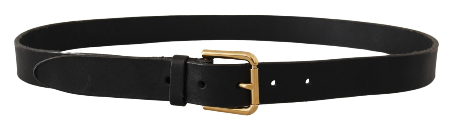 Dolce &amp; Gabbana Brown Classic Leather Gold Metal Buckle Belt