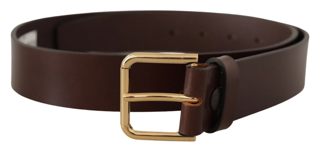 Dolce &amp; Gabbana Brown Plain Calf Leather Gold Tone Buckle Belt