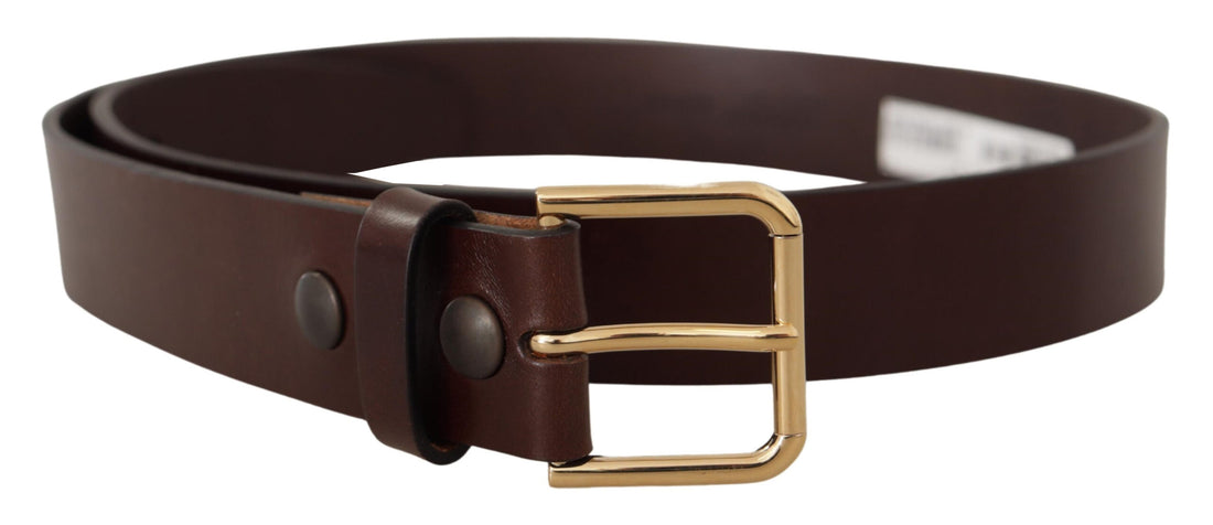 Dolce &amp; Gabbana Brown Polished Leather Gold Tone Metal Buckle Belt