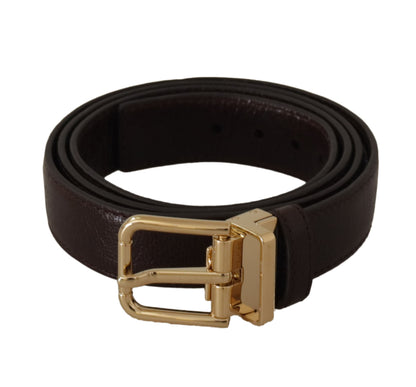Dolce &amp; Gabbana Brown Leather Gold Metal Buckle Belt