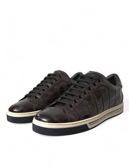 Dolce &amp; Gabbana Brown Croc Exotic Leather Men Casual Sneakers Shoes