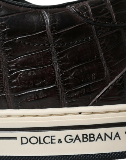 Dolce &amp; Gabbana Brown Croc Exotic Leather Men Casual Sneakers Shoes