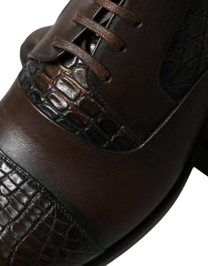Dolce &amp;amp; Gabbana Bruna Exotiska Läderskor Med Snörning I Oxford-Läder