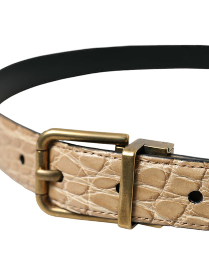 Dolce &amp;amp; Gabbana Beige Exotiskt Läderbälte med Guldfärgad Metallspänne