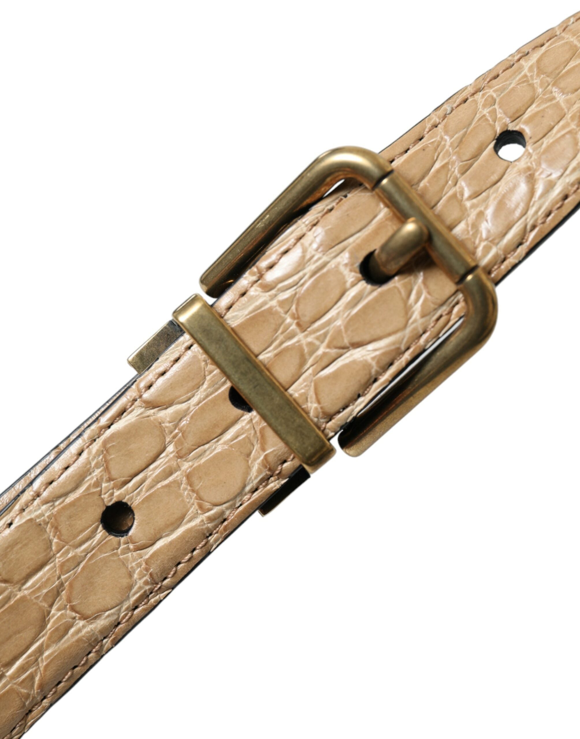Dolce &amp;amp; Gabbana Beige Exotiskt Läderbälte med Guldfärgad Metallspänne