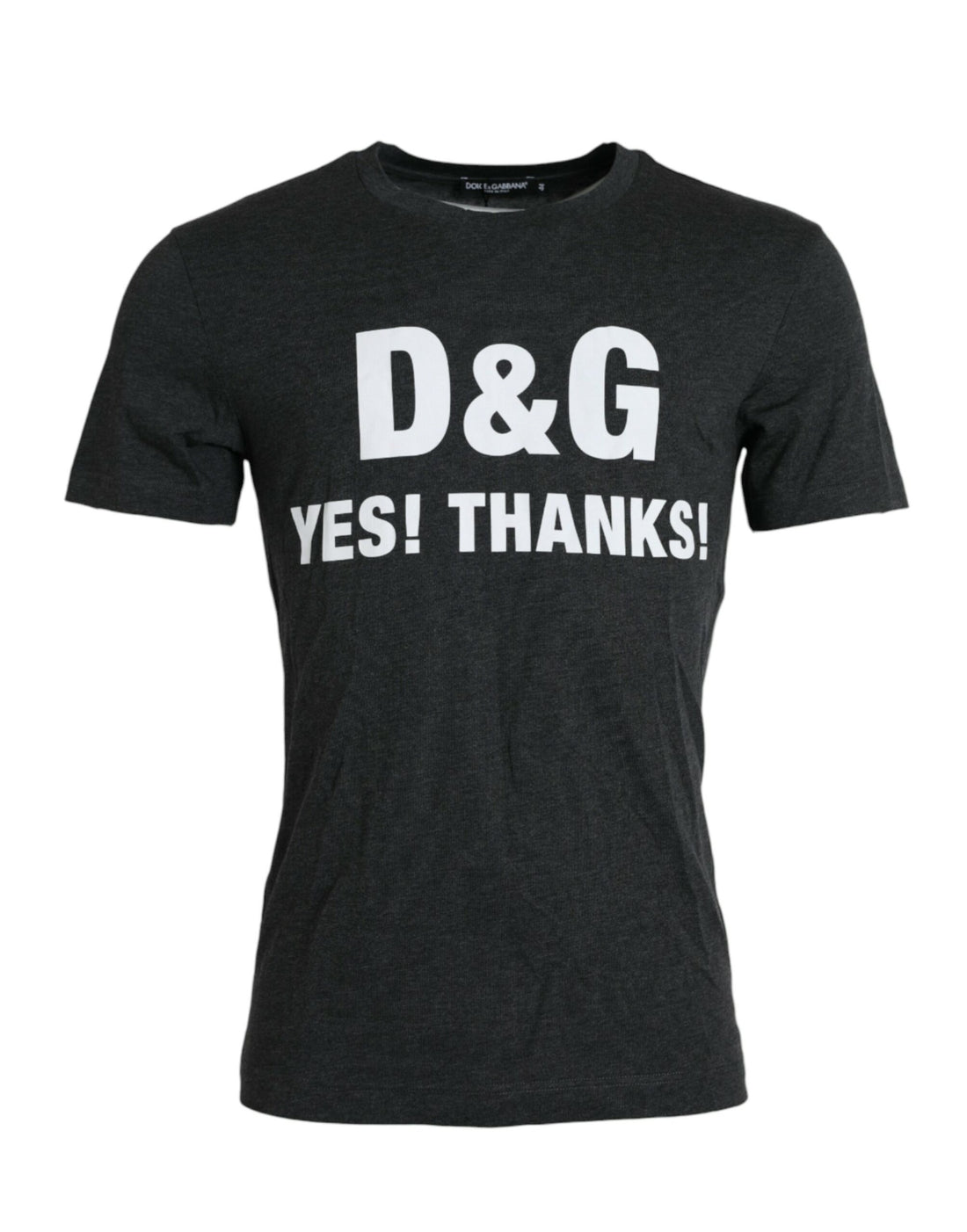 Dolce &amp;amp; Gabbana Grå Logotyptryck Rundringad Kortärmad T-shirt