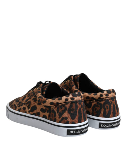 Dolce &amp;amp; Gabbana Bruna Leopard Logotyptryck Bomullssneakers Skor