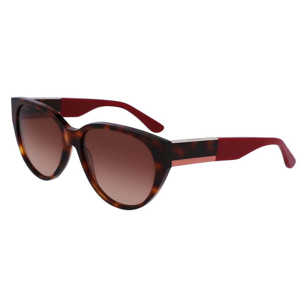 Lacoste bruna acetatsolglasögon