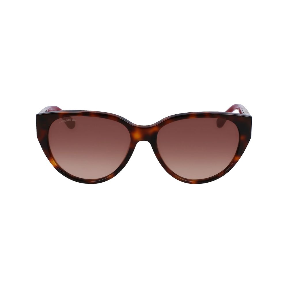 Lacoste bruna acetatsolglasögon