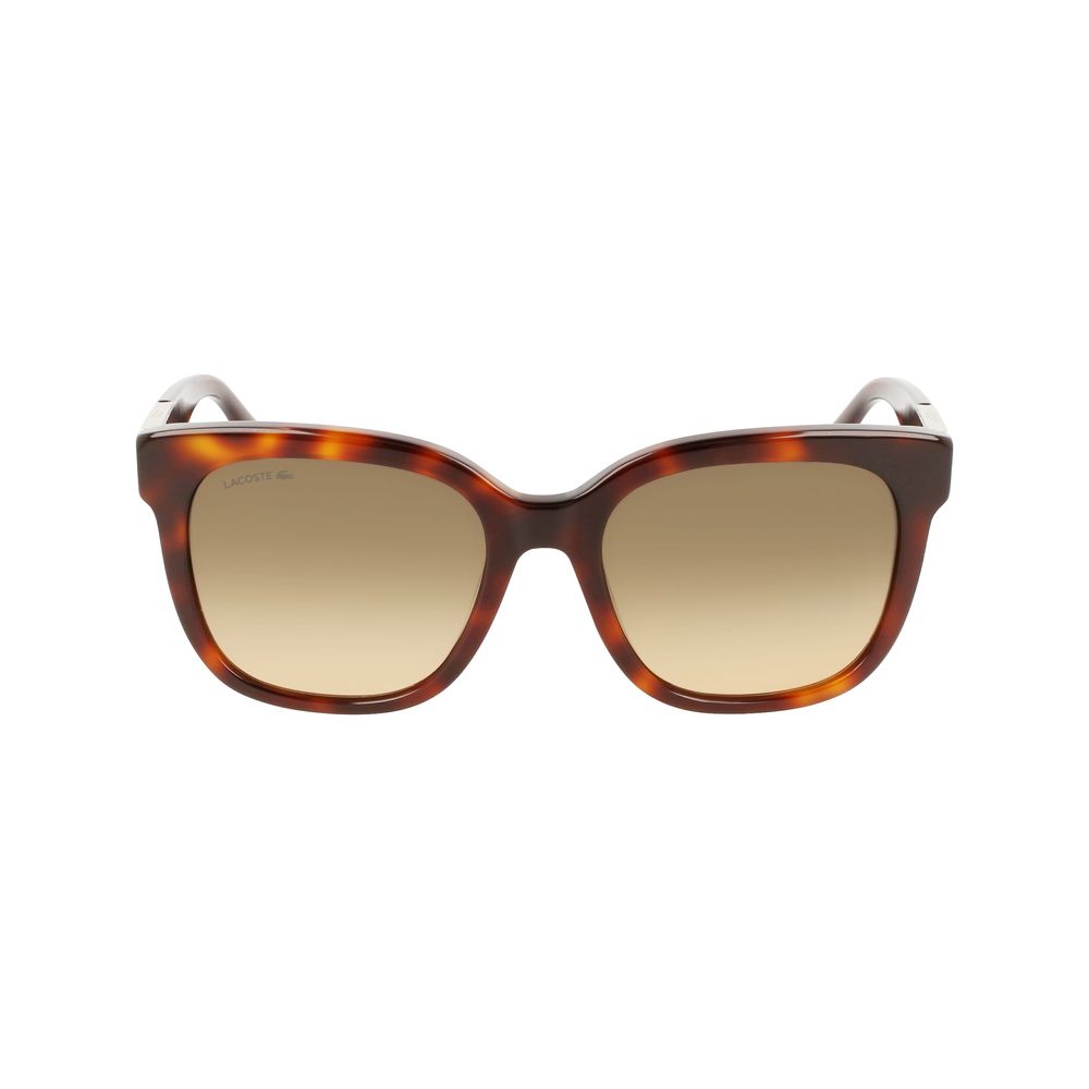 Lacoste bruna acetatsolglasögon