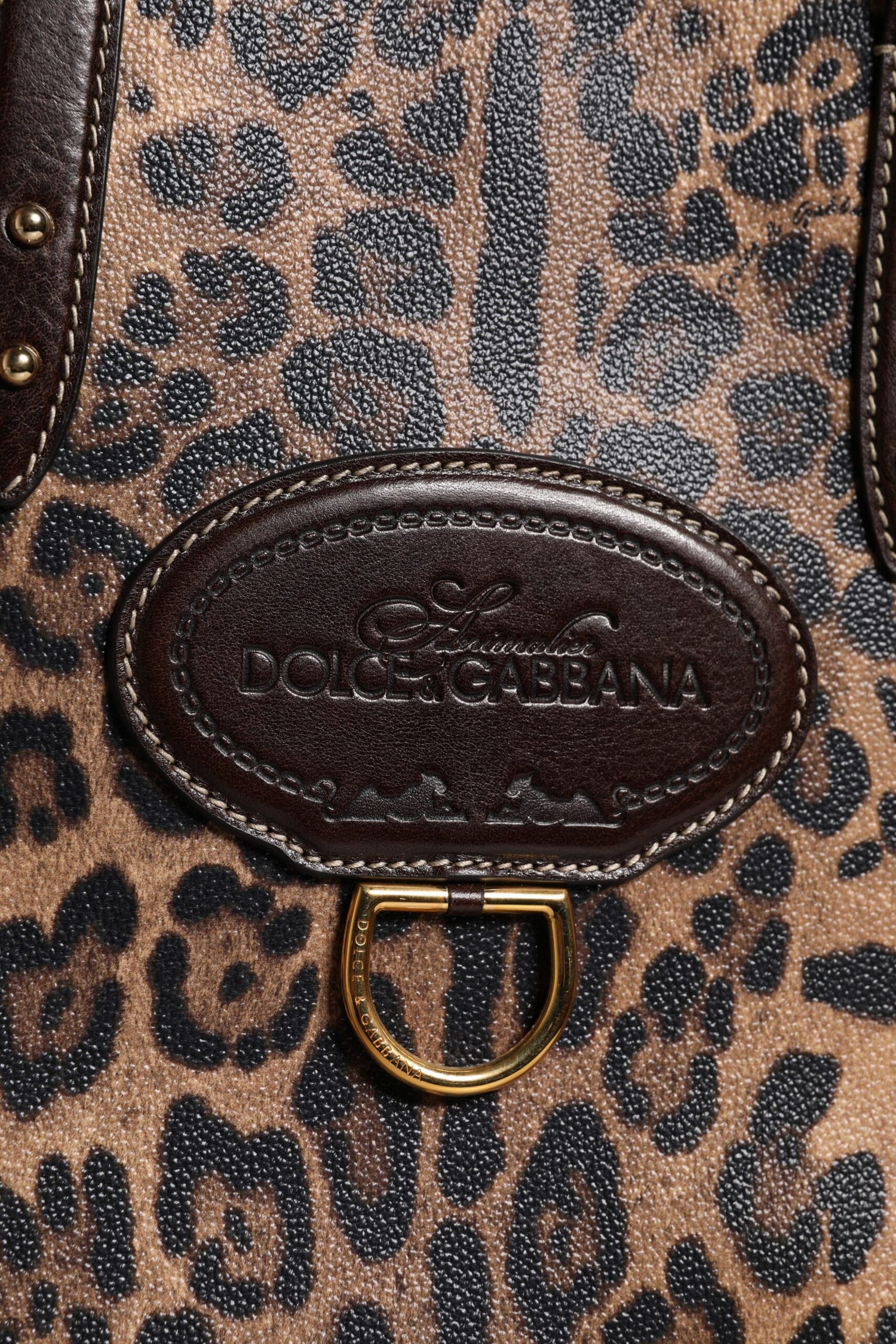 Dolce &amp; Gabbana Brown Leopard Leather Shoulder Strap Tote Bag
