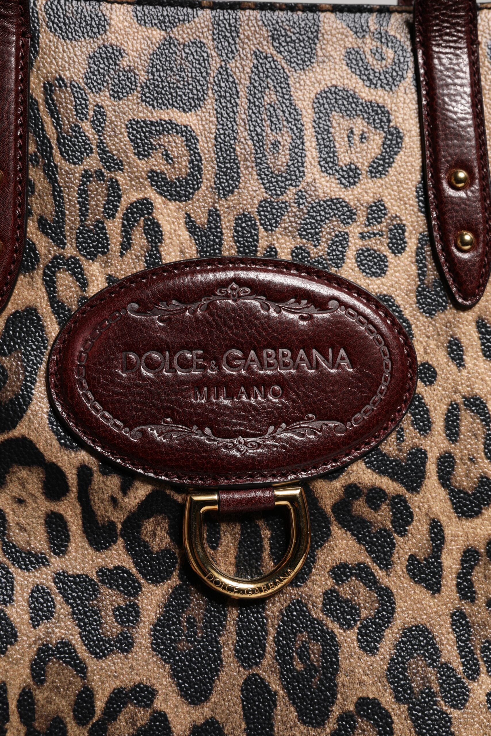 Dolce &amp; Gabbana Brown Leopard Leather Shoulder Strap Tote Bag