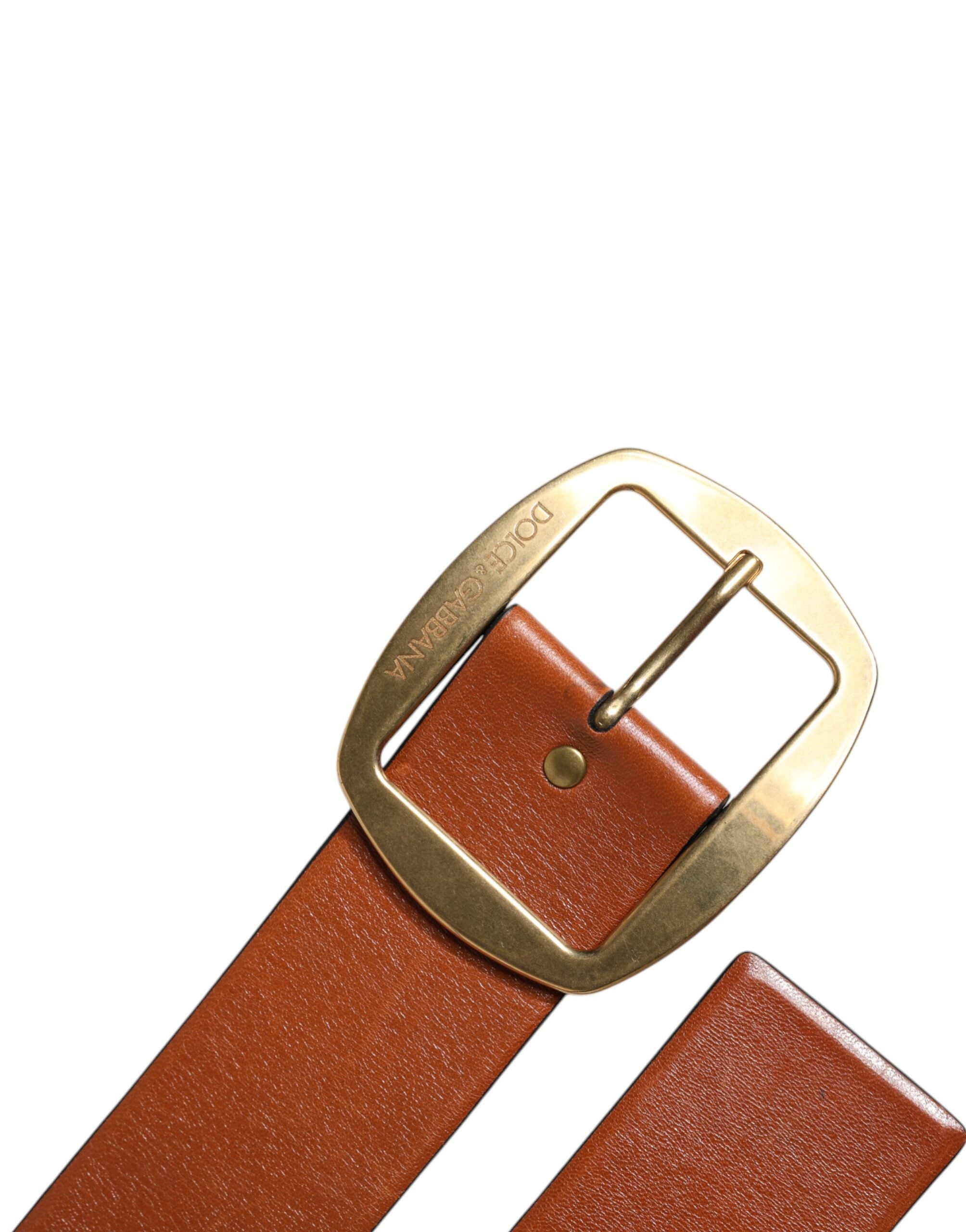 Dolce &amp; Gabbana Brown Leather Gold Metal Buckle Classic Belt