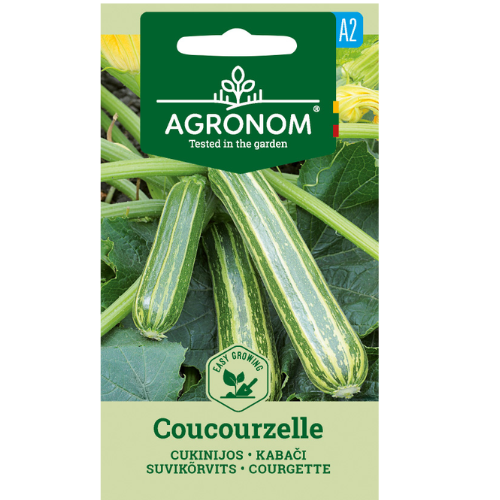 Zucchini - Cocozelle