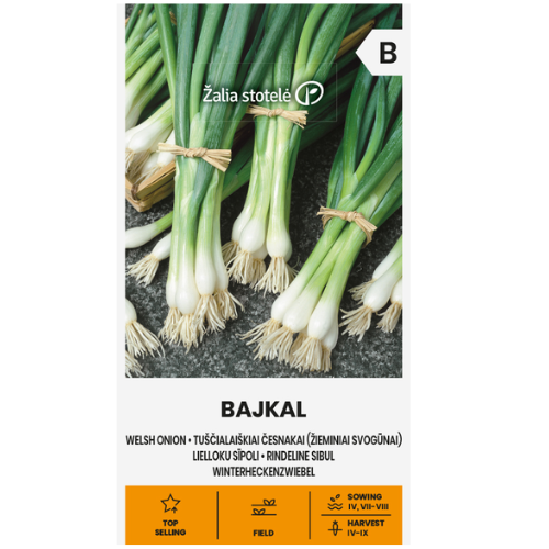 Salladslök - Bajkal