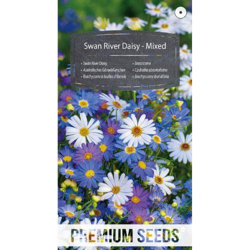 Tusensköna - Swan River Daisy Mixed