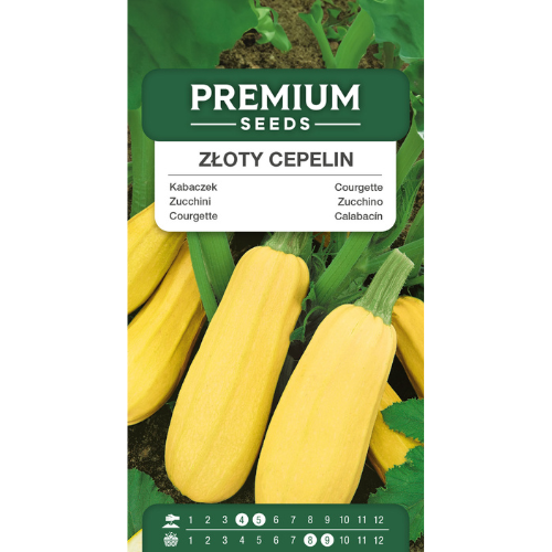 Squash - Złoty Cepelin