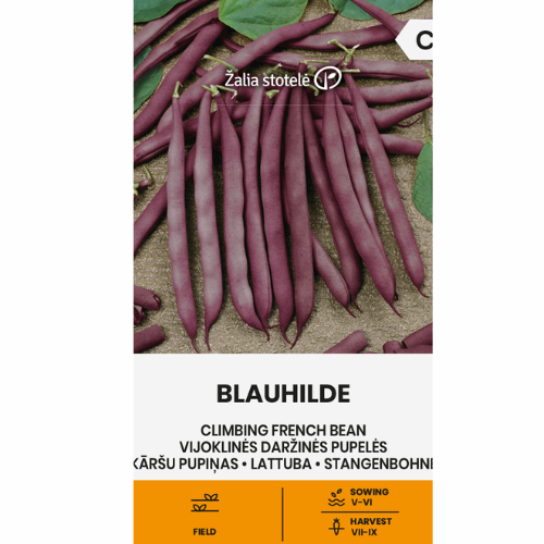 Klättrande Brytböna - Blauhilde