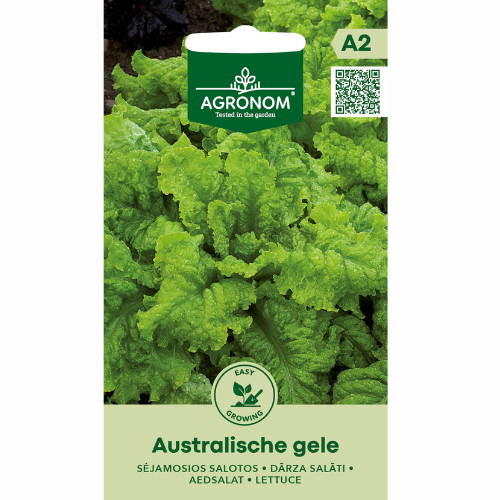 Sallat - Australische Gele