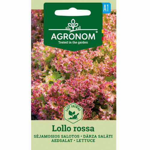 Sallad - Lollo Rossa