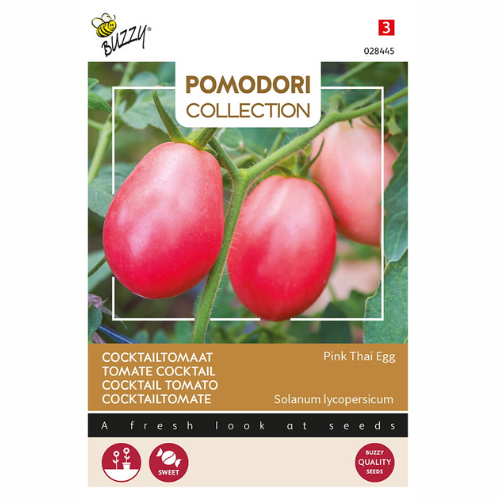 Tomat - Rosa thailändskt ägg