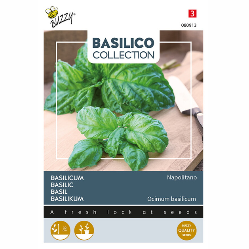 Basilika - Napolitano
